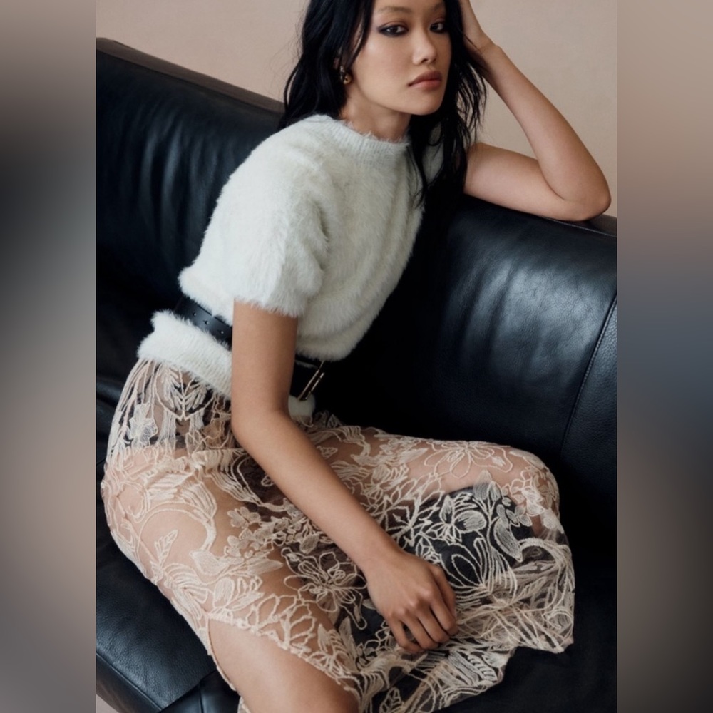 Anthropologie Sheer Embroidered Cream Midi Skirt - Picture 5 of 12
